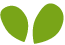 https://toyjoy.com.tr/wp-content/uploads/2022/04/green_leaf.png